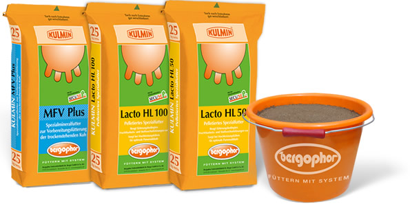 Strong start for next lactation Strong start for next lactation