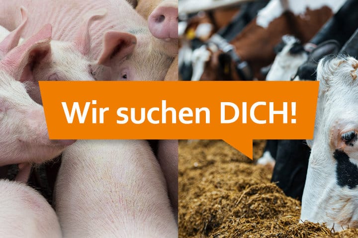 Berufseinsteiger im Bereich Tierernährung (m/w/d)