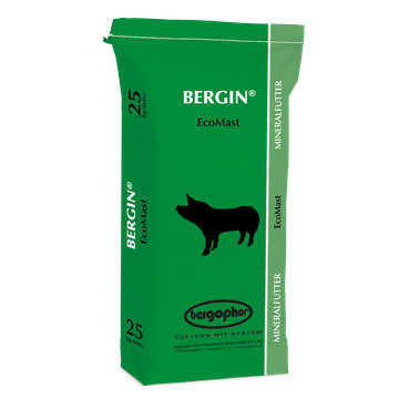 BERGIN EcoMast AS